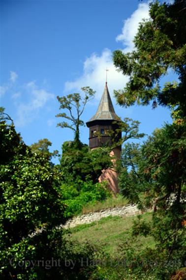 2020 09 03 Insel Mainau,_DSD_7097_b_488px